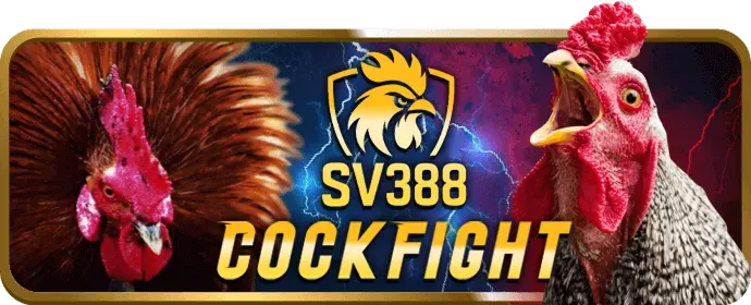 Hỗ trợ khách hàng K9Win App 24/7
